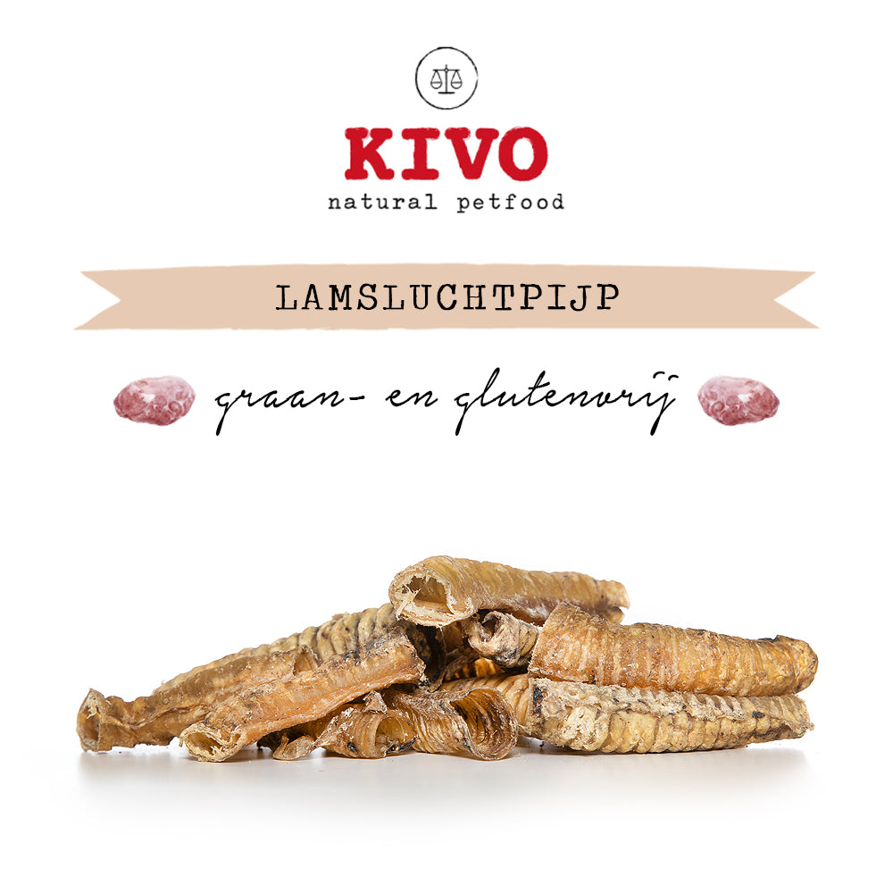Lamsluchtpijp