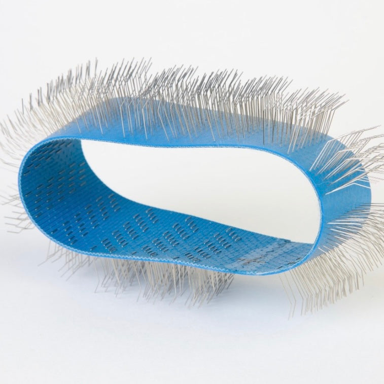 Blauwe Borstelband voor ADB Petite