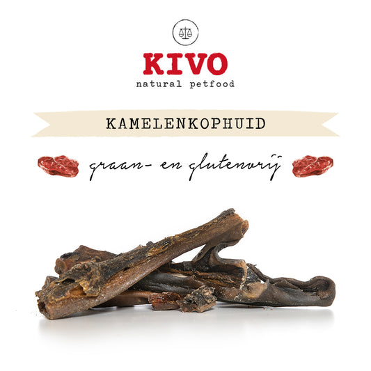 Kamelenkophuid