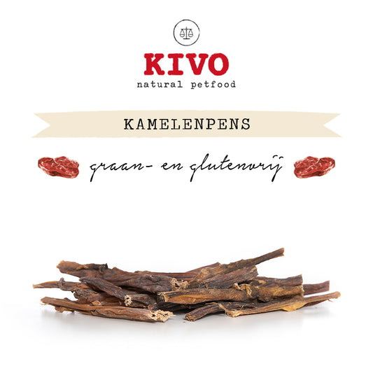 Kamelenpens