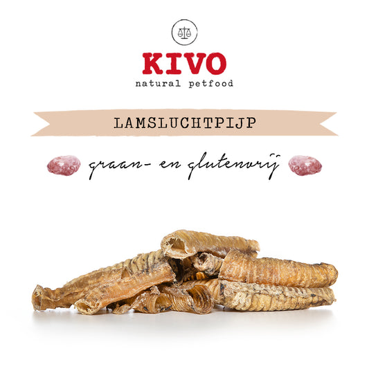 Lamsluchtpijp