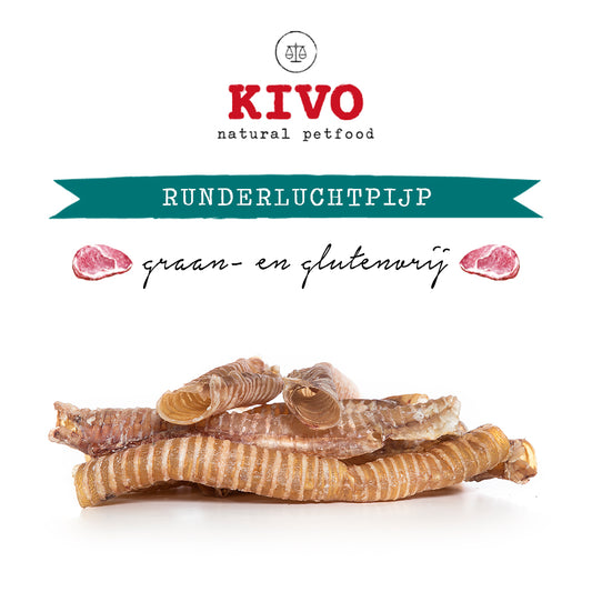 Runderluchtpijp