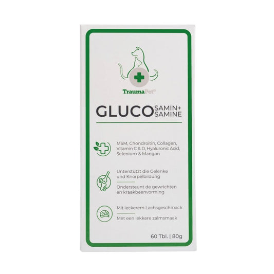 Glucosamine+ (80gr)